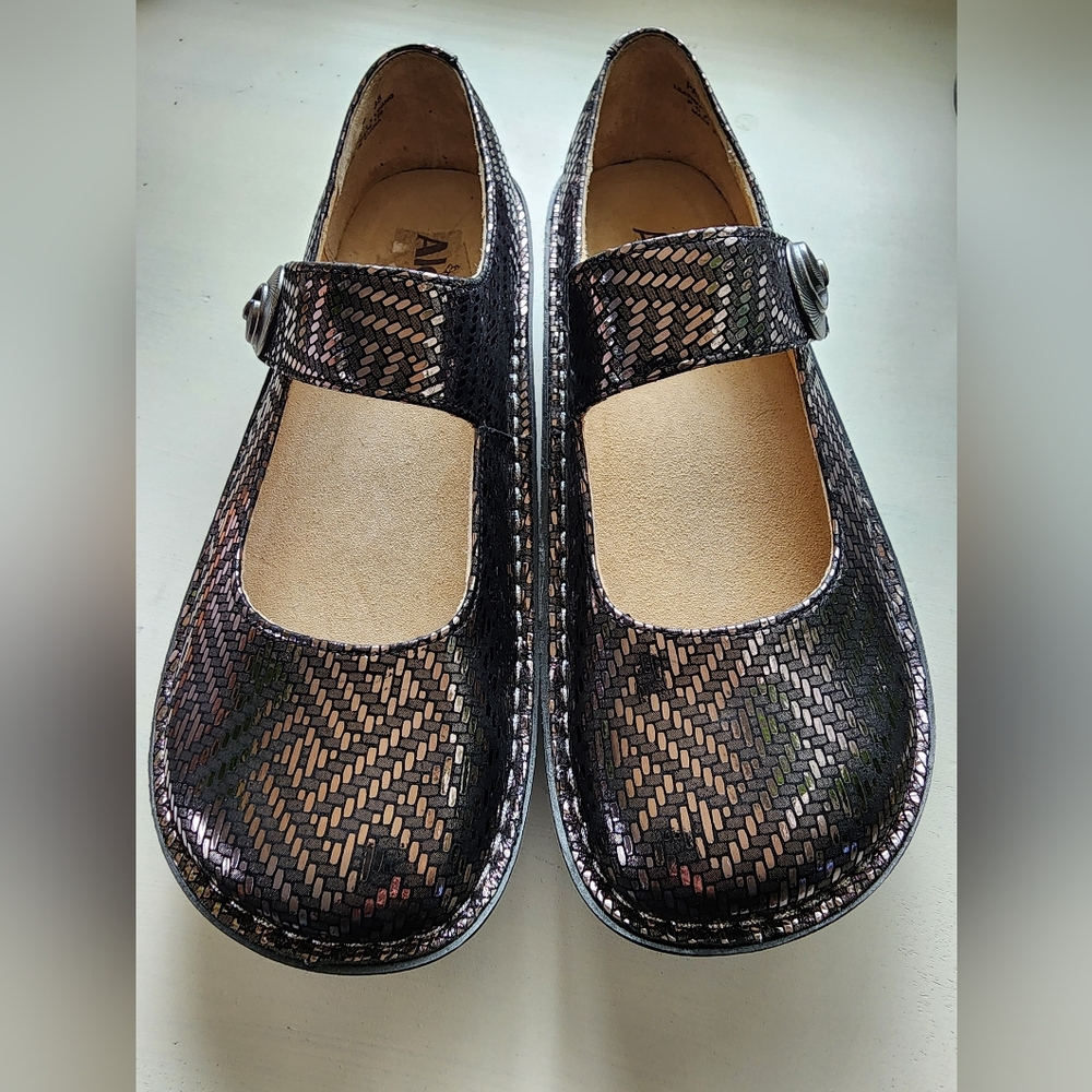Alegria Pewter Shimmer